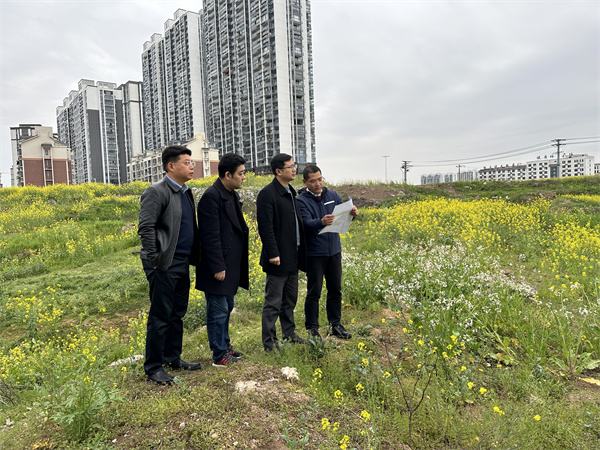 3月29日，張總陪同汪盛縣長調度揚之學校征地.jpg